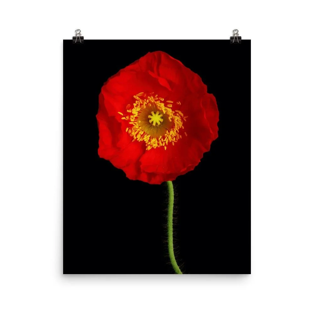 https://i.etsystatic.com/16519884/r/il/561c89/2200604364/il_fullxfull.2200604364_x00h.jpg