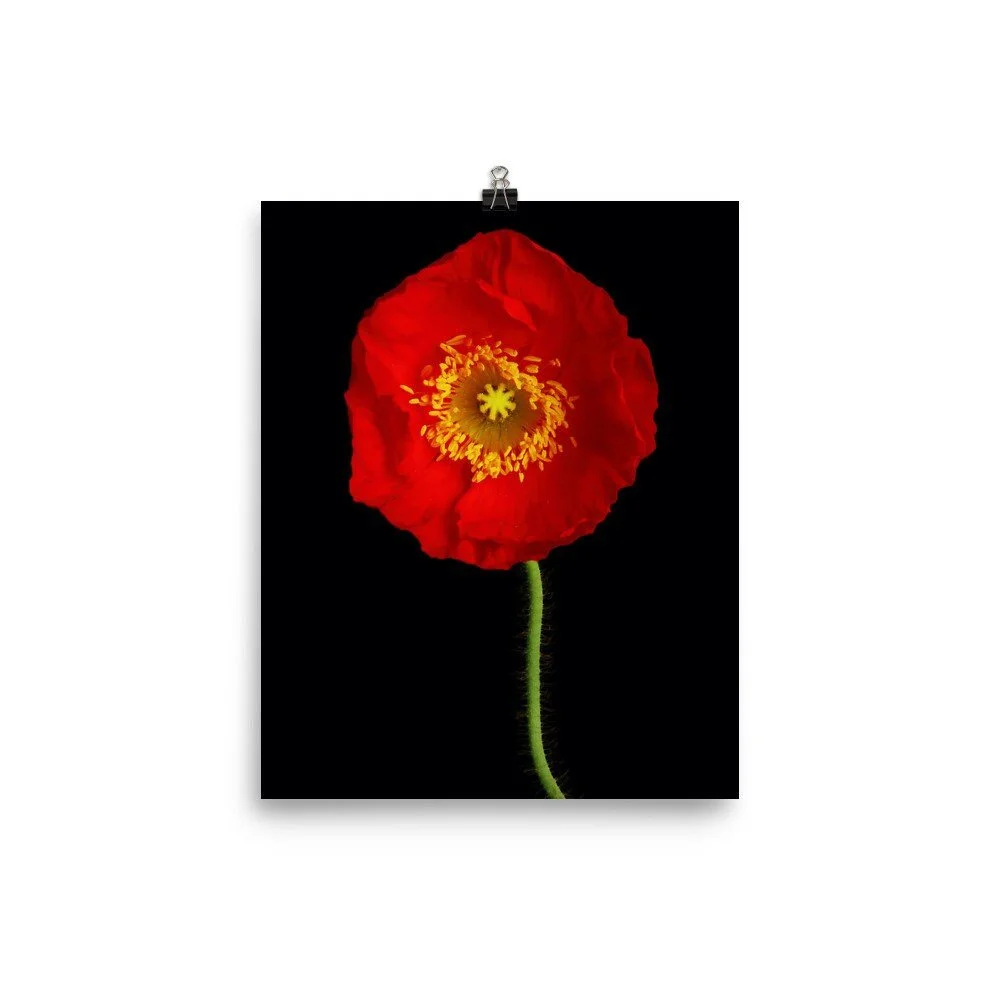 https://i.etsystatic.com/16519884/r/il/abae3c/2200603476/il_fullxfull.2200603476_3fxe.jpg