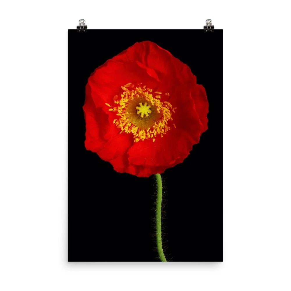 https://i.etsystatic.com/16519884/r/il/f083d8/2200603422/il_fullxfull.2200603422_jx27.jpg