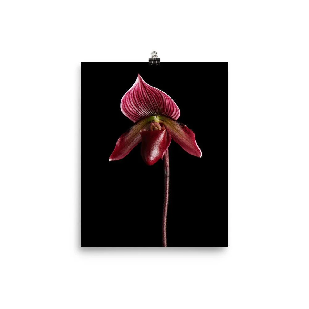https://i.etsystatic.com/16519884/r/il/0c4eb8/2249198947/il_fullxfull.2249198947_2q3s.jpg