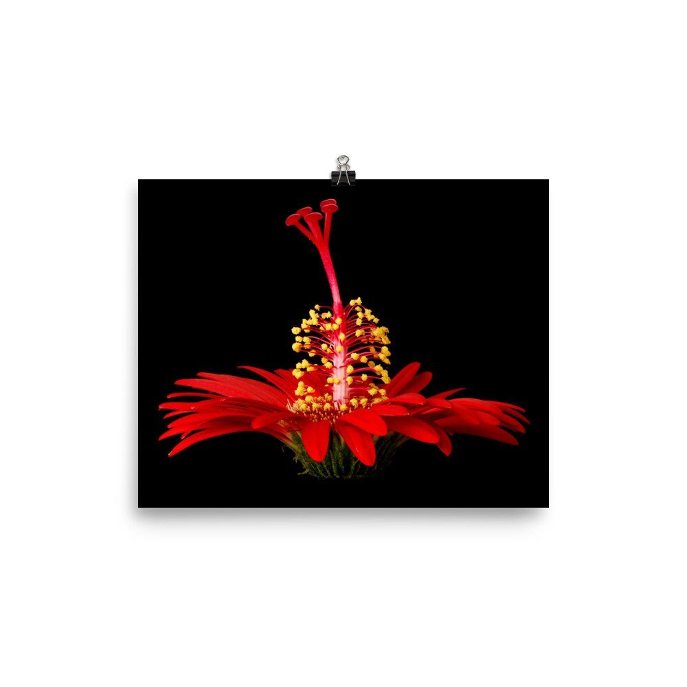 https://i.etsystatic.com/16519884/r/il/0d68fd/2257776663/il_fullxfull.2257776663_e84s.jpg