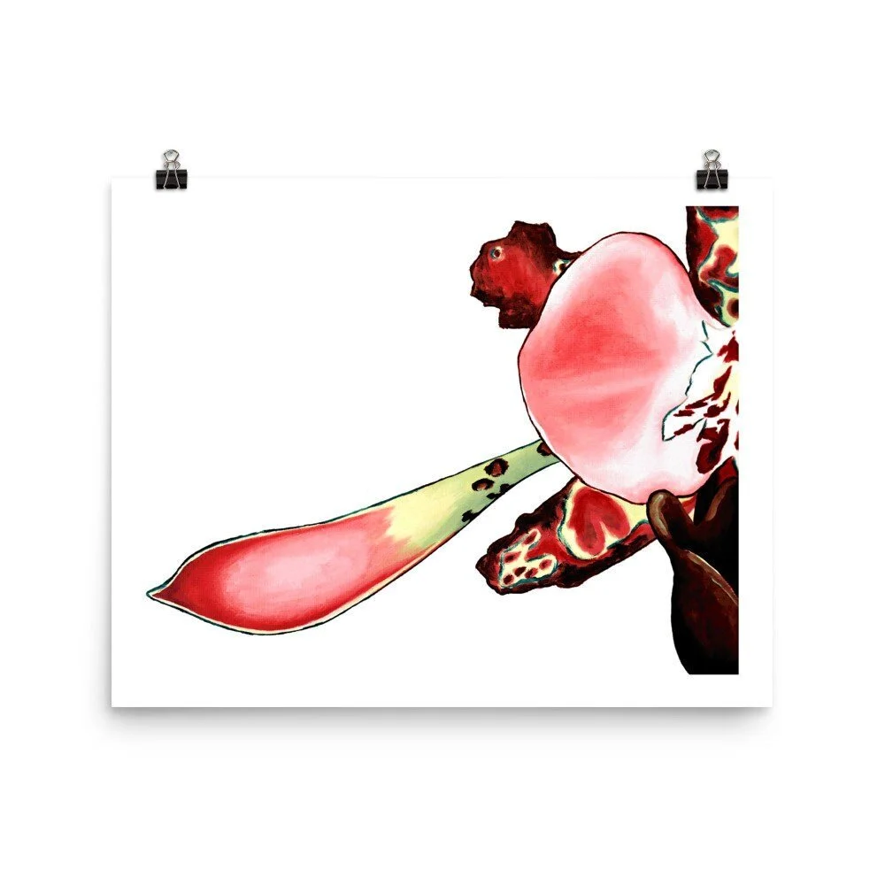 https://i.etsystatic.com/16519884/r/il/c4baeb/2271510968/il_fullxfull.2271510968_hnga.jpg
