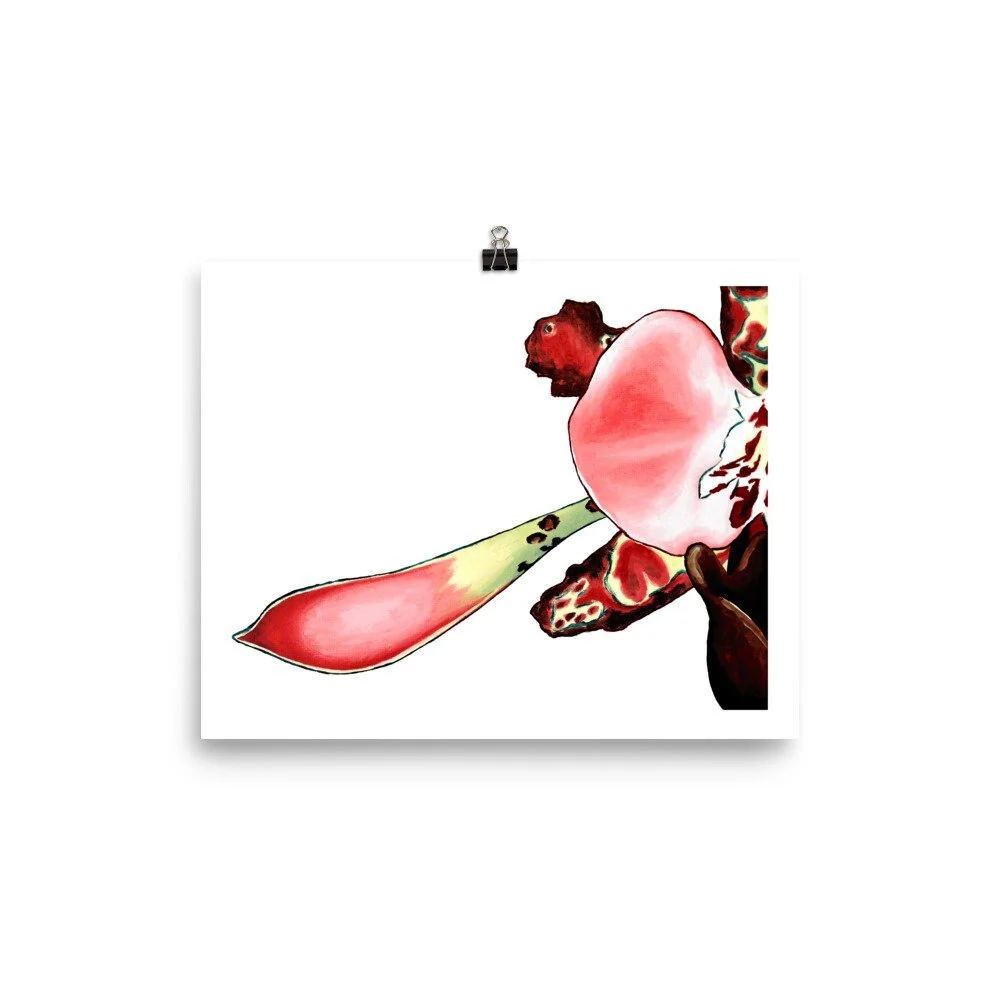 https://i.etsystatic.com/16519884/r/il/f83d3a/2271509908/il_fullxfull.2271509908_h7ft.jpg