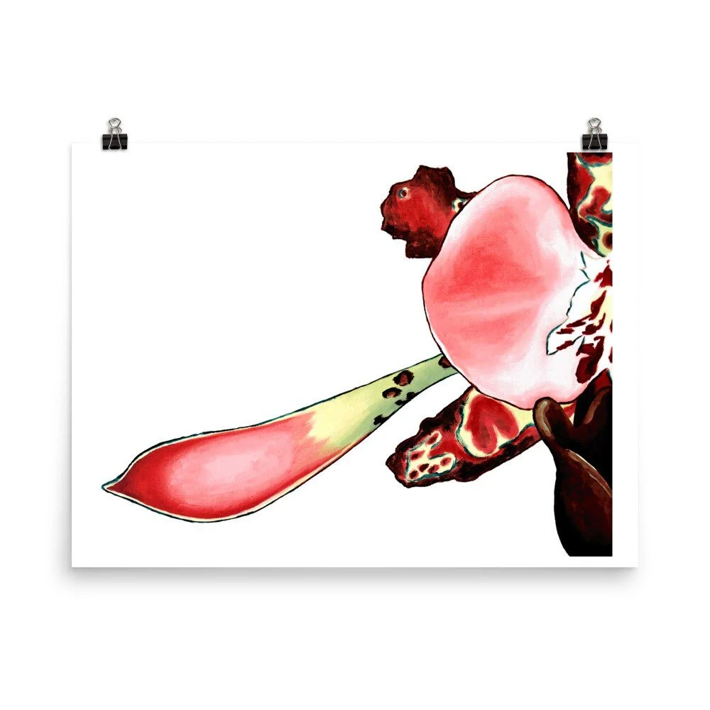 https://i.etsystatic.com/16519884/r/il/c61744/2319109617/il_fullxfull.2319109617_l943.jpg