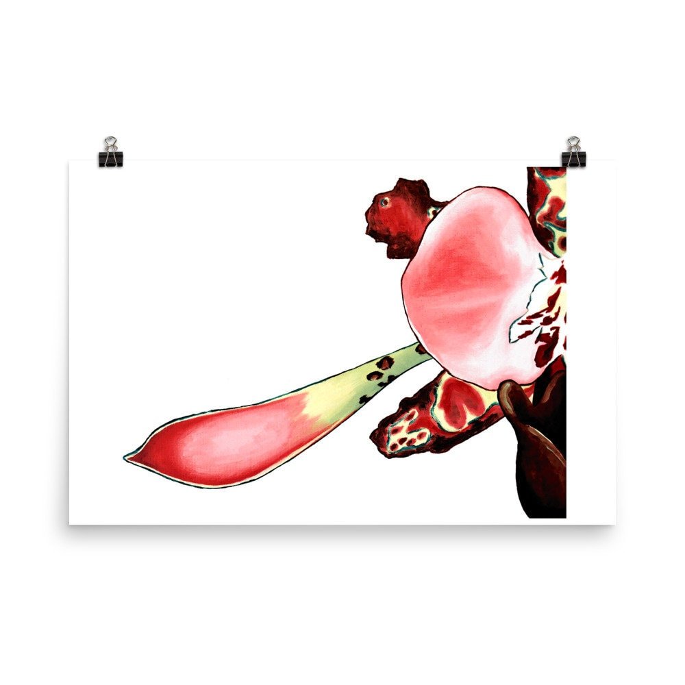 https://i.etsystatic.com/16519884/r/il/ade1ec/2271509822/il_fullxfull.2271509822_5y9l.jpg