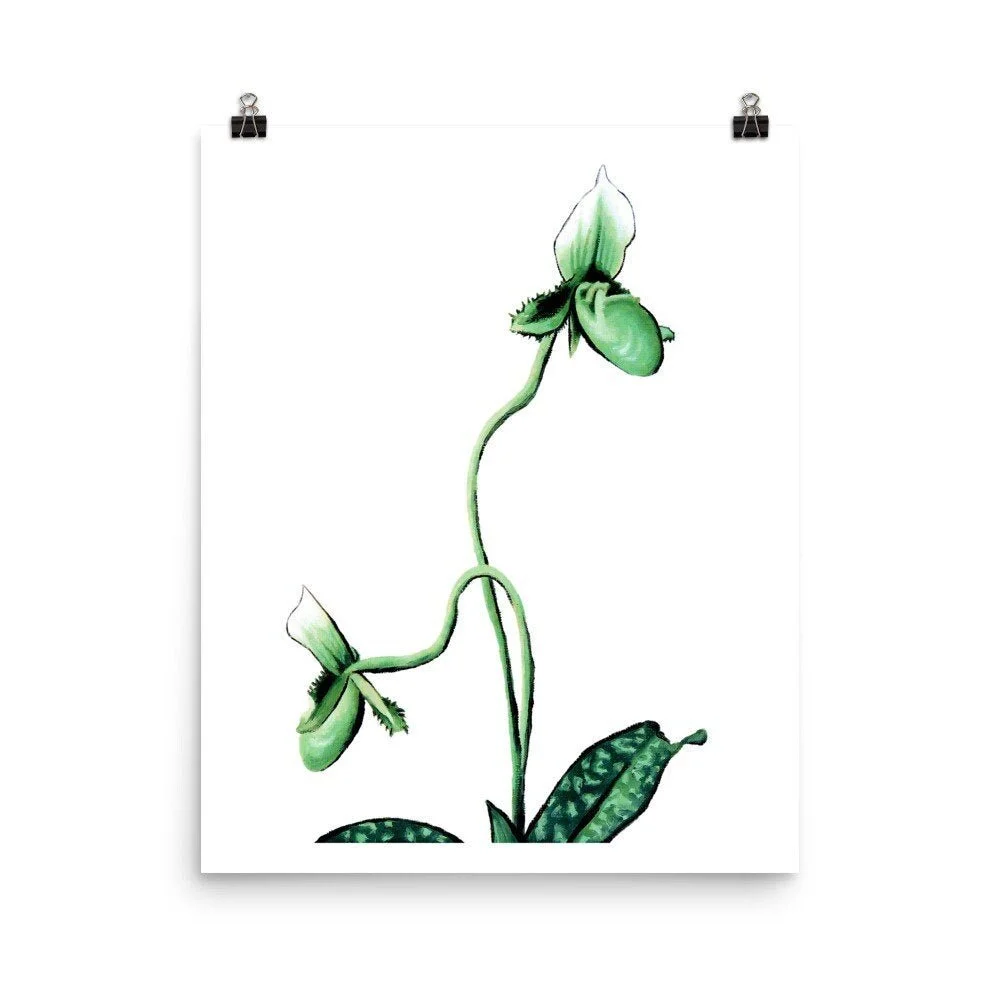 https://i.etsystatic.com/16519884/r/il/96876d/2319122293/il_fullxfull.2319122293_csca.jpg