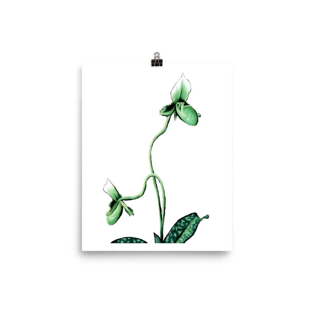 https://i.etsystatic.com/16519884/r/il/3cc1b1/2319121695/il_fullxfull.2319121695_4toh.jpg