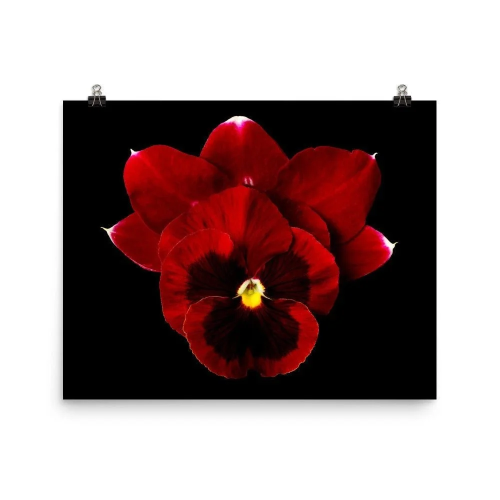 https://i.etsystatic.com/16519884/r/il/0cdc8d/2299770527/il_fullxfull.2299770527_smt4.jpg