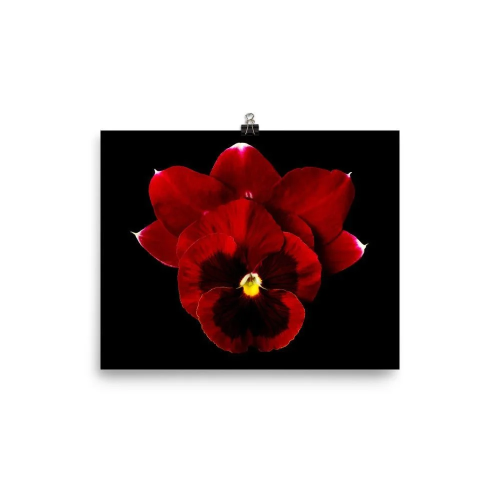 https://i.etsystatic.com/16519884/r/il/91e36e/2252171344/il_fullxfull.2252171344_imu7.jpg