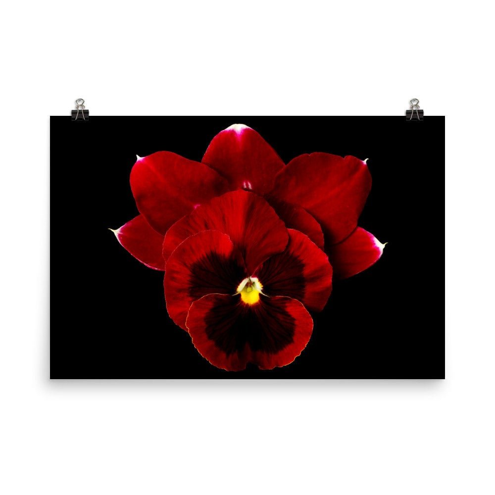 https://i.etsystatic.com/16519884/r/il/0b27de/2299769807/il_fullxfull.2299769807_aash.jpg