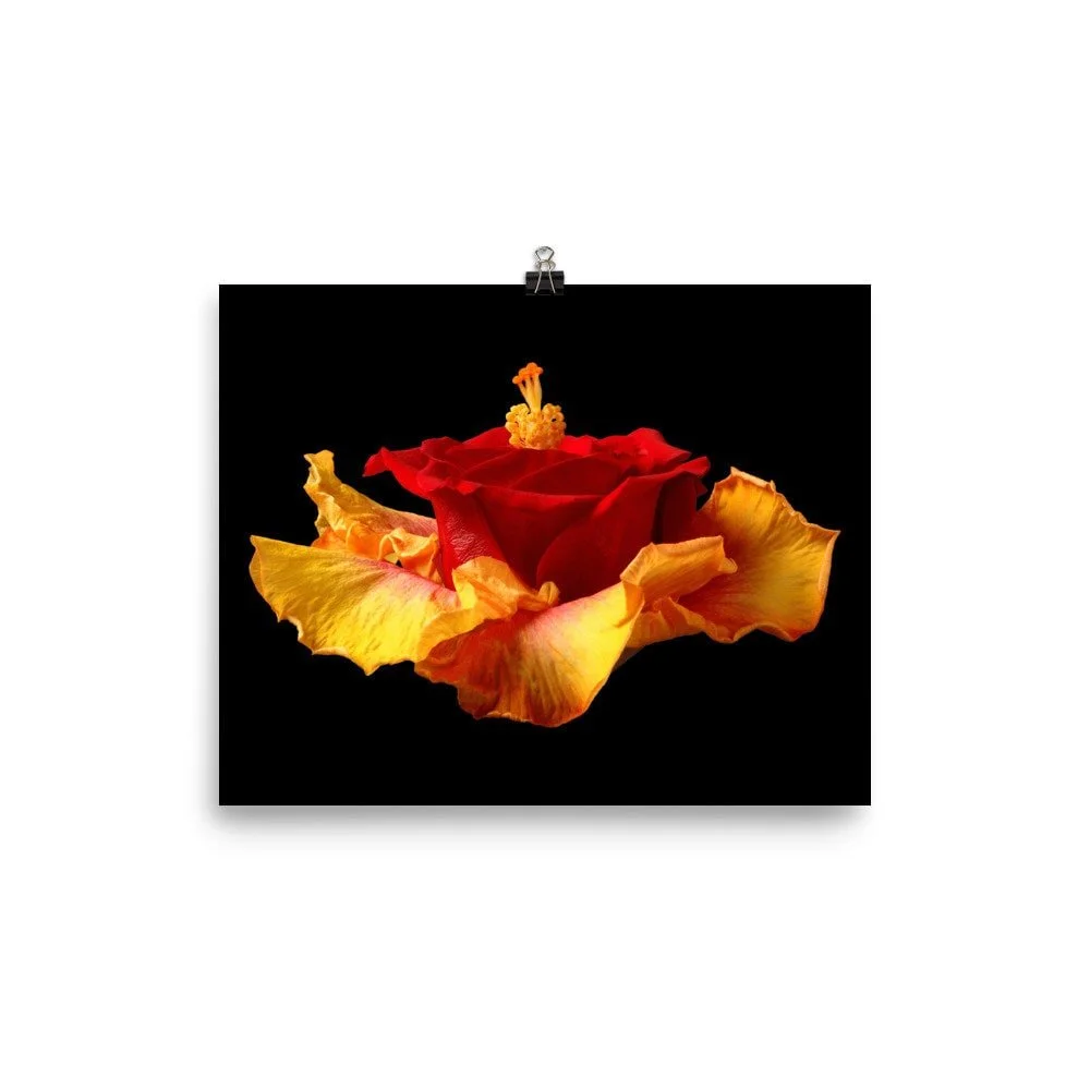 https://i.etsystatic.com/16519884/r/il/2b943a/2254330555/il_fullxfull.2254330555_fuvi.jpg