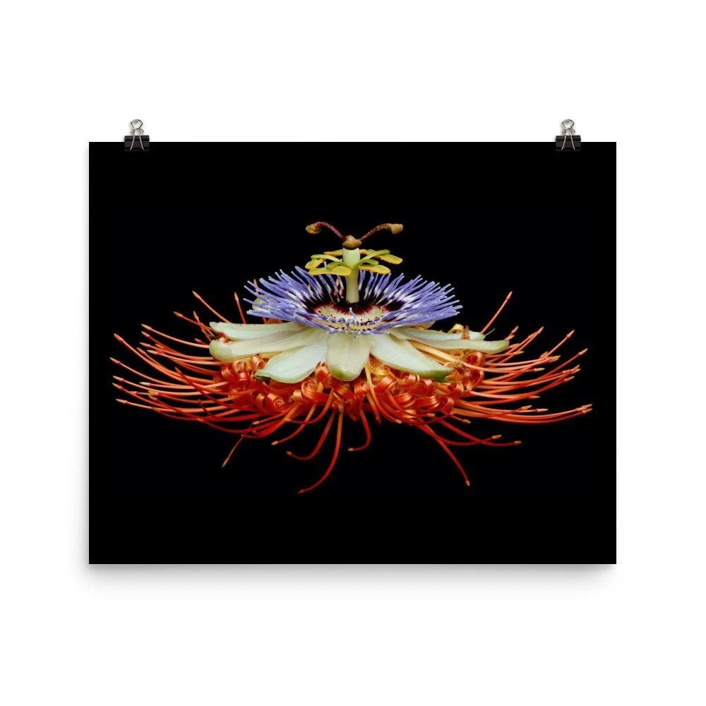 https://i.etsystatic.com/16519884/r/il/7a735d/2254354499/il_fullxfull.2254354499_bp8u.jpg