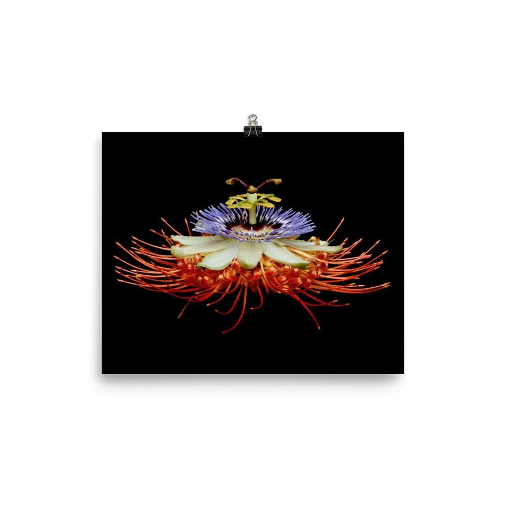 https://i.etsystatic.com/16519884/r/il/bd091f/2206752680/il_fullxfull.2206752680_qj47.jpg