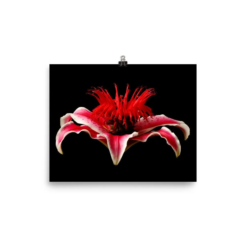 https://i.etsystatic.com/16519884/r/il/0d5527/2255028495/il_fullxfull.2255028495_nyes.jpg