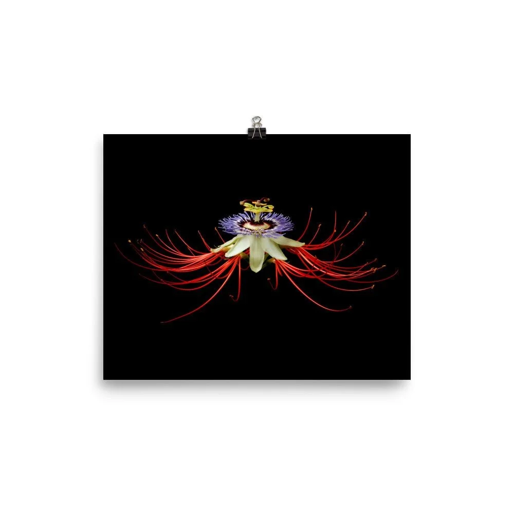 https://i.etsystatic.com/16519884/r/il/c277fe/2207712416/il_fullxfull.2207712416_jjbf.jpg