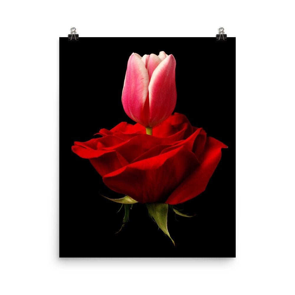 https://i.etsystatic.com/16519884/r/il/93c250/2257712257/il_fullxfull.2257712257_8xhf.jpg