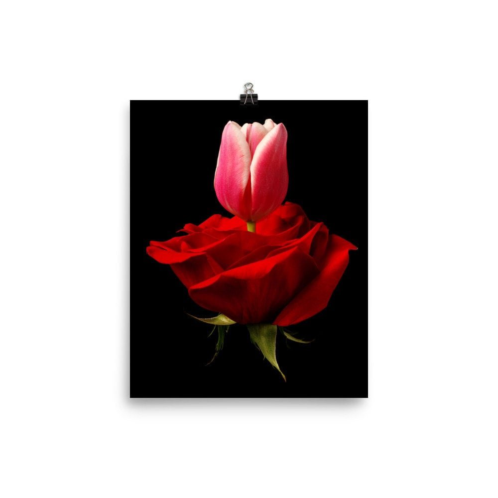 https://i.etsystatic.com/16519884/r/il/0beff9/2257711435/il_fullxfull.2257711435_ela5.jpg