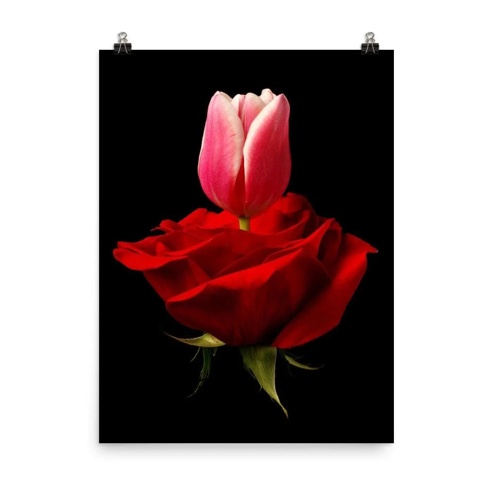 https://i.etsystatic.com/16519884/r/il/b0d54e/2257711373/il_fullxfull.2257711373_5jin.jpg