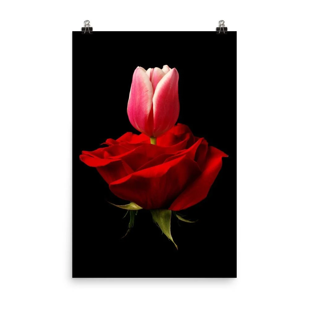https://i.etsystatic.com/16519884/r/il/24bc7d/2210118130/il_fullxfull.2210118130_moaa.jpg