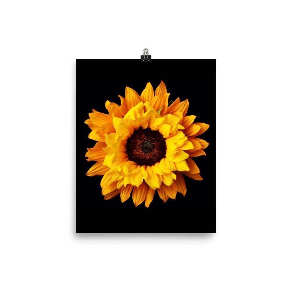 https://i.etsystatic.com/16519884/r/il/e3e3b2/2257725879/il_fullxfull.2257725879_b0e0.jpg