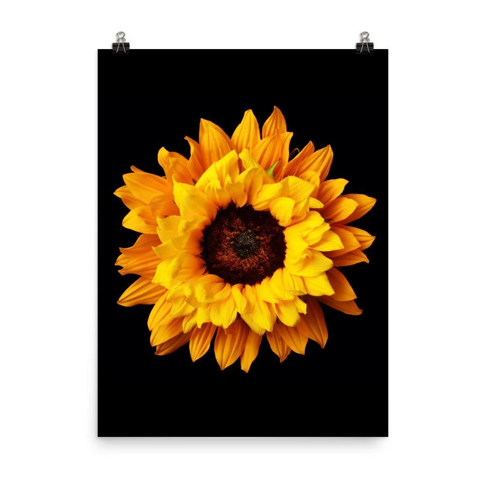 https://i.etsystatic.com/16519884/r/il/7e16c4/2257725833/il_fullxfull.2257725833_k2w0.jpg