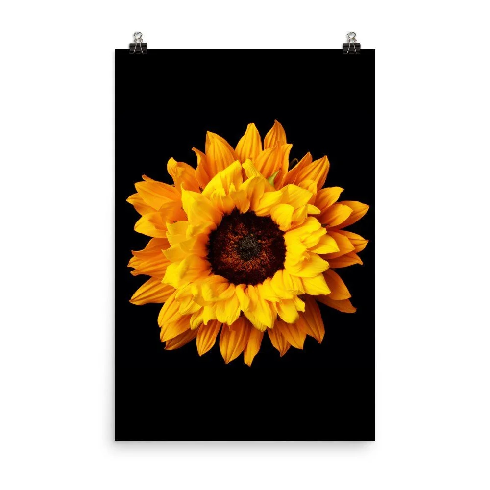 https://i.etsystatic.com/16519884/r/il/bcc920/2210132650/il_fullxfull.2210132650_3lq4.jpg