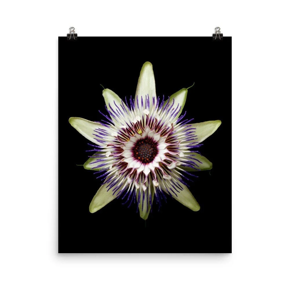 https://i.etsystatic.com/16519884/r/il/65ffb1/2257847013/il_fullxfull.2257847013_csz2.jpg