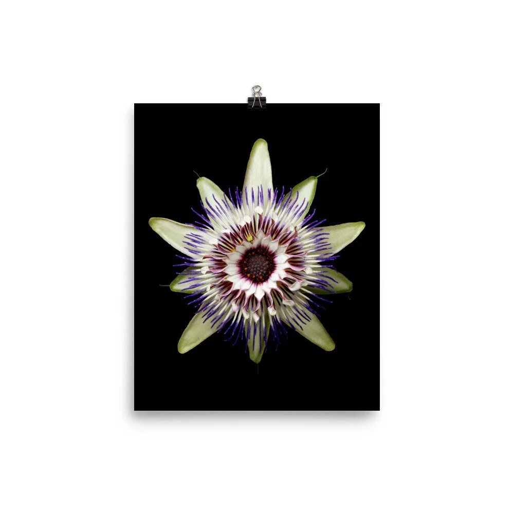 https://i.etsystatic.com/16519884/r/il/eb0a5b/2257846523/il_fullxfull.2257846523_c7kz.jpg