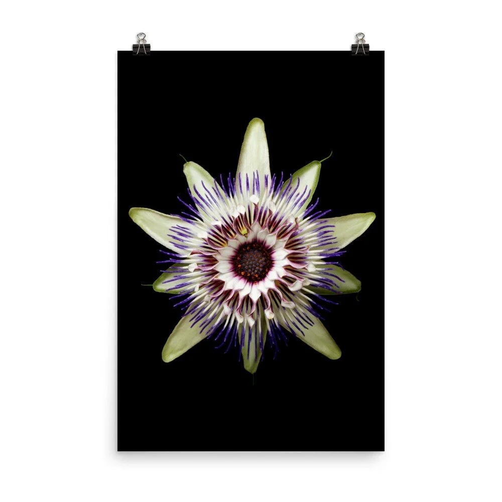 https://i.etsystatic.com/16519884/r/il/698c56/2257846409/il_fullxfull.2257846409_nnv2.jpg