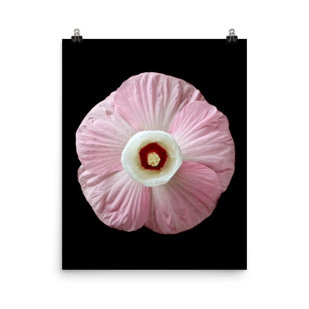 https://i.etsystatic.com/16519884/r/il/0e8032/2254566003/il_fullxfull.2254566003_ewvf.jpg