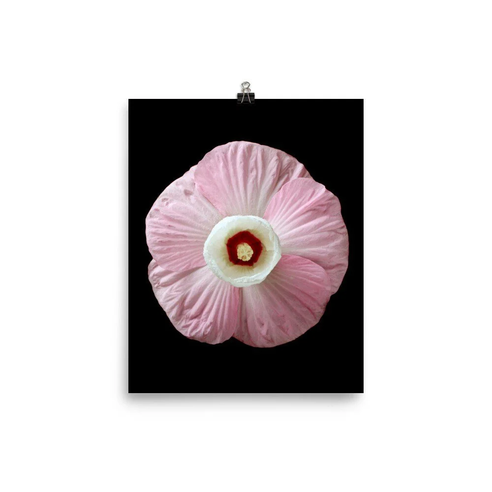https://i.etsystatic.com/16519884/r/il/c38950/2206964438/il_fullxfull.2206964438_mmka.jpg