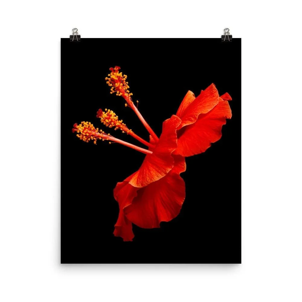 https://i.etsystatic.com/16519884/r/il/f53c65/2254894649/il_fullxfull.2254894649_l3gk.jpg