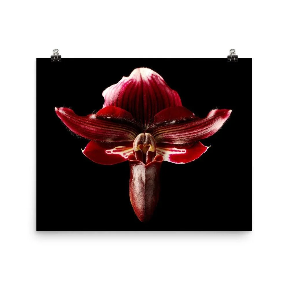 https://i.etsystatic.com/16519884/r/il/c7ef6e/2257466387/il_fullxfull.2257466387_ov18.jpg