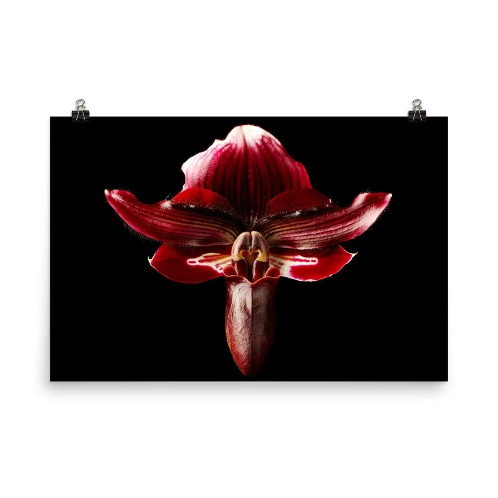 https://i.etsystatic.com/16519884/r/il/49e3ee/2209871866/il_fullxfull.2209871866_fstl.jpg