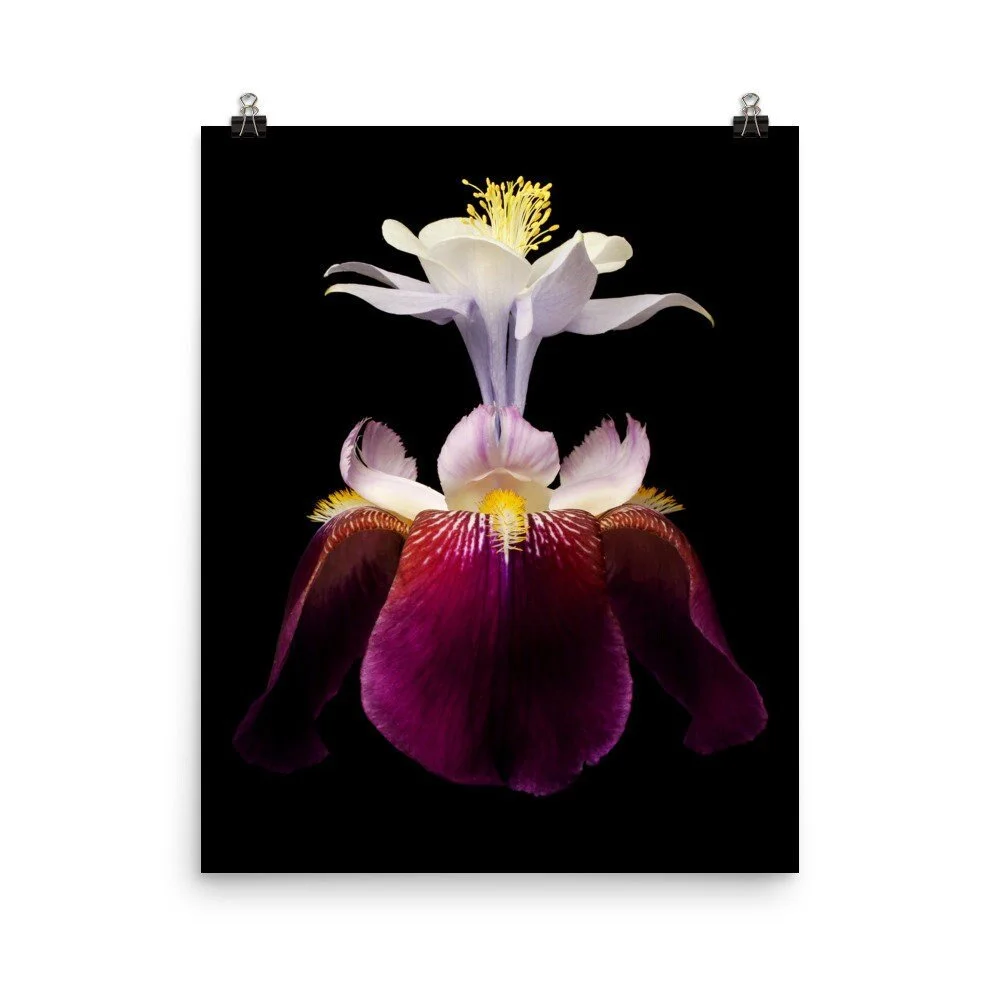 https://i.etsystatic.com/16519884/r/il/02631a/2210223770/il_fullxfull.2210223770_2bk2.jpg
