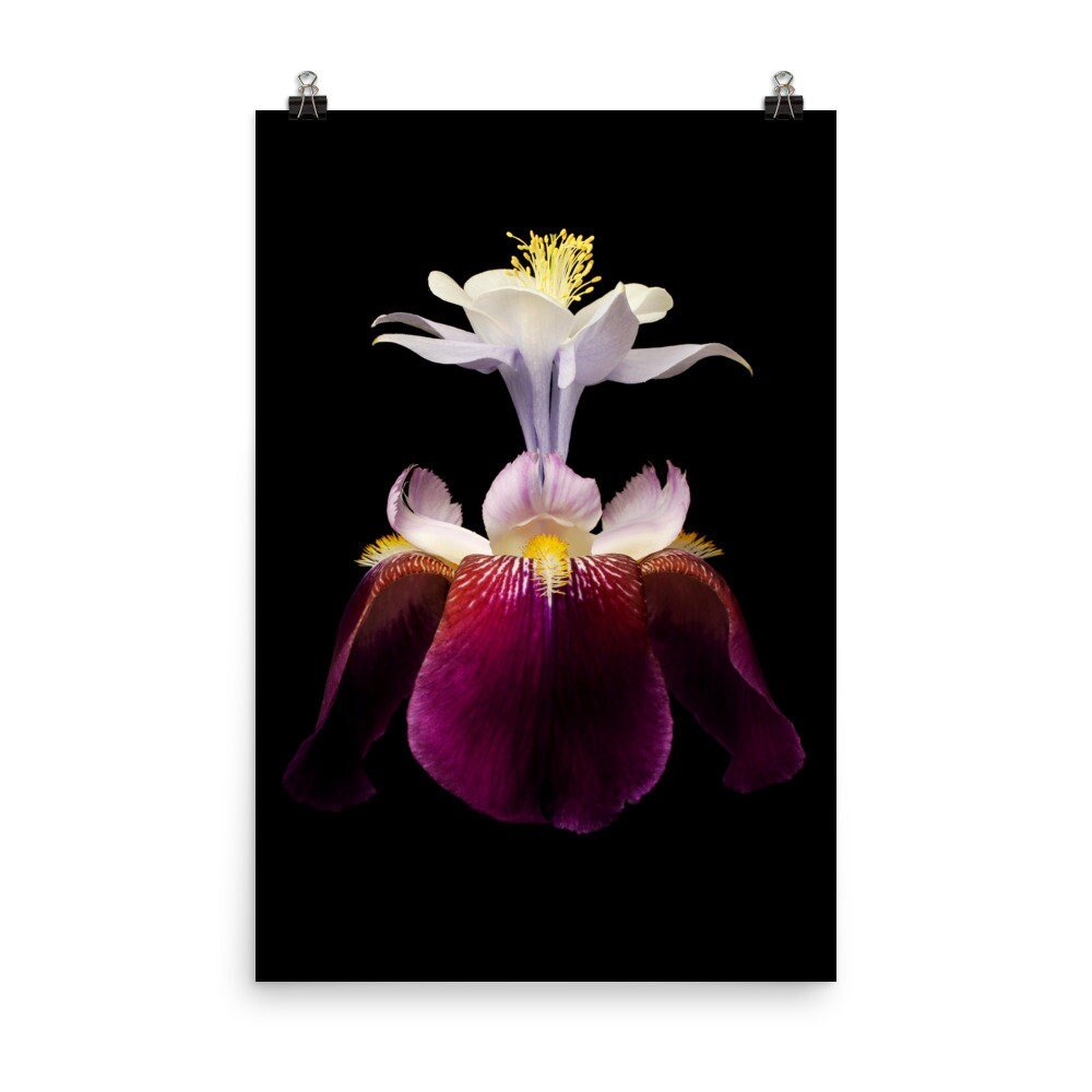 https://i.etsystatic.com/16519884/r/il/eda822/2210223090/il_fullxfull.2210223090_ekyz.jpg