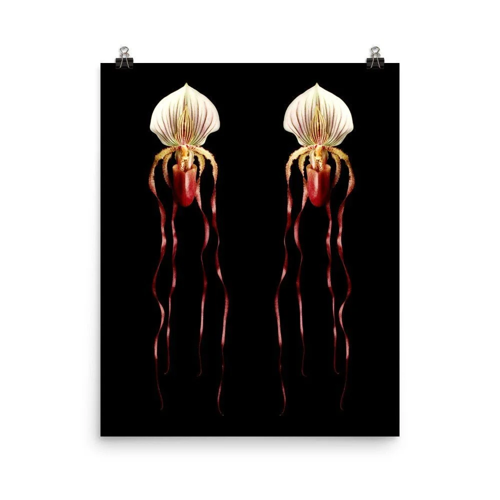 https://i.etsystatic.com/16519884/r/il/484f23/2206537104/il_fullxfull.2206537104_hm2b.jpg
