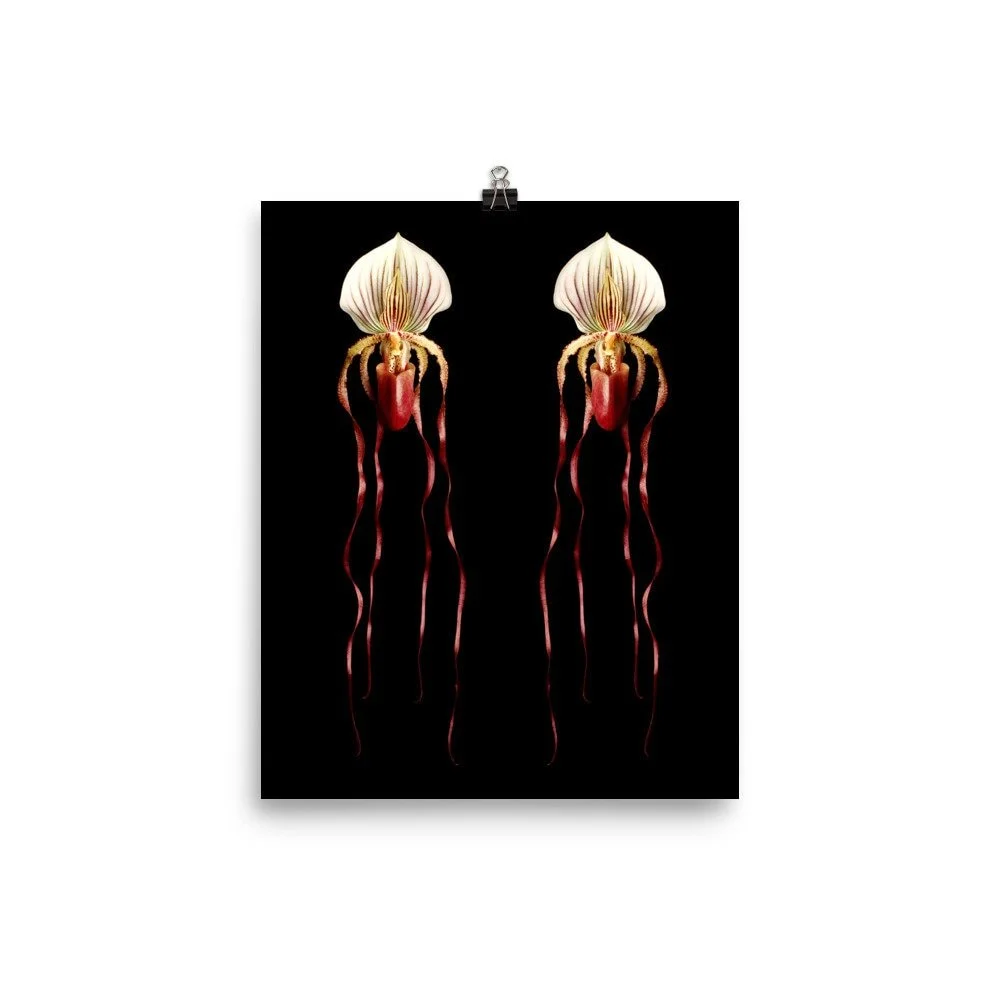 https://i.etsystatic.com/16519884/r/il/b6b30d/2254135999/il_fullxfull.2254135999_1j9a.jpg