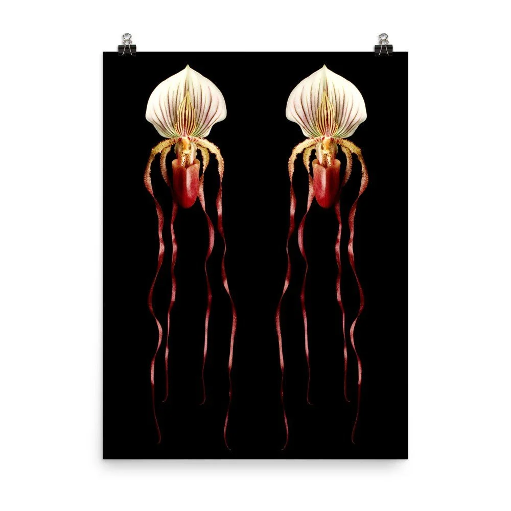 https://i.etsystatic.com/16519884/r/il/e3edf9/2254135905/il_fullxfull.2254135905_hsqd.jpg