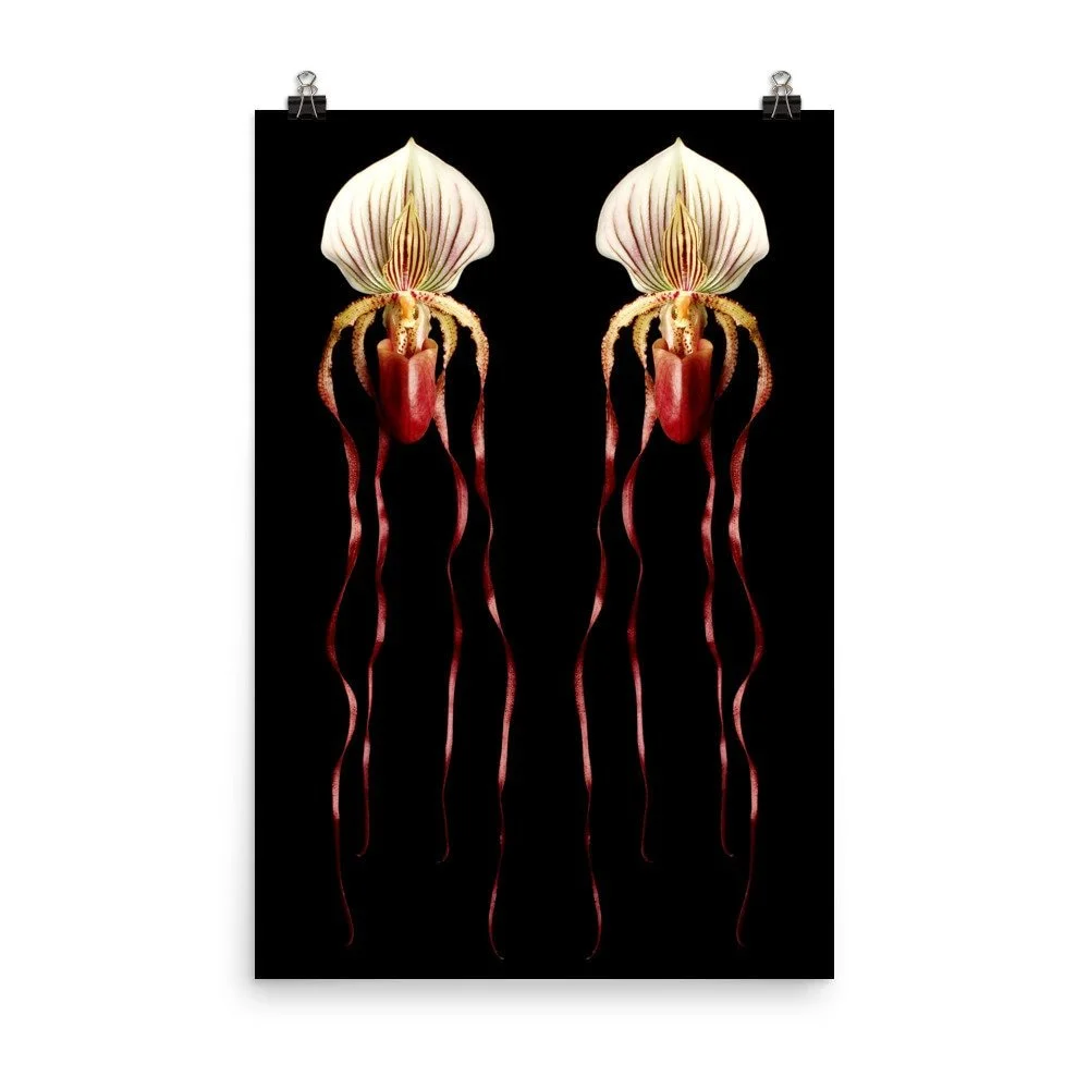 https://i.etsystatic.com/16519884/r/il/9881ab/2254135823/il_fullxfull.2254135823_la3q.jpg