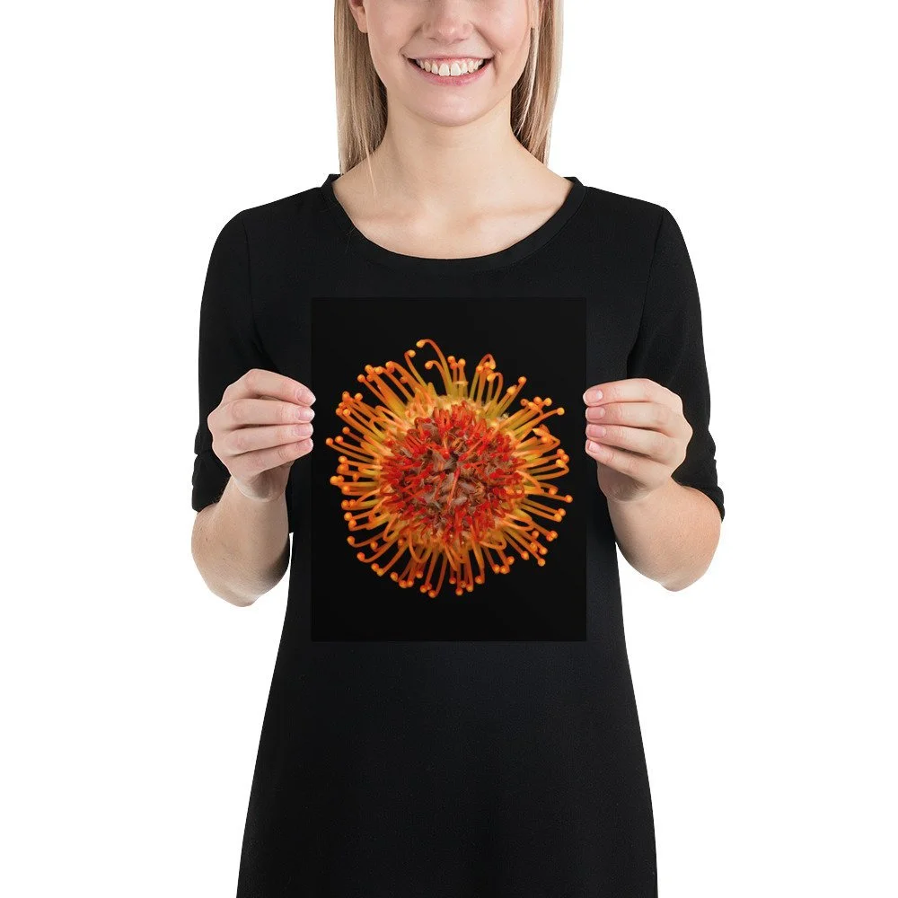 https://i.etsystatic.com/16519884/r/il/cf705e/1943122981/il_fullxfull.1943122981_rndx.jpg