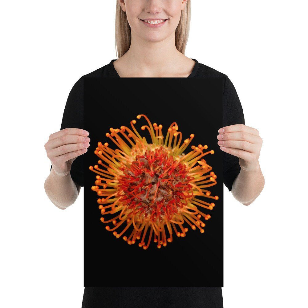 https://i.etsystatic.com/16519884/r/il/d1502b/1895591924/il_fullxfull.1895591924_al7y.jpg