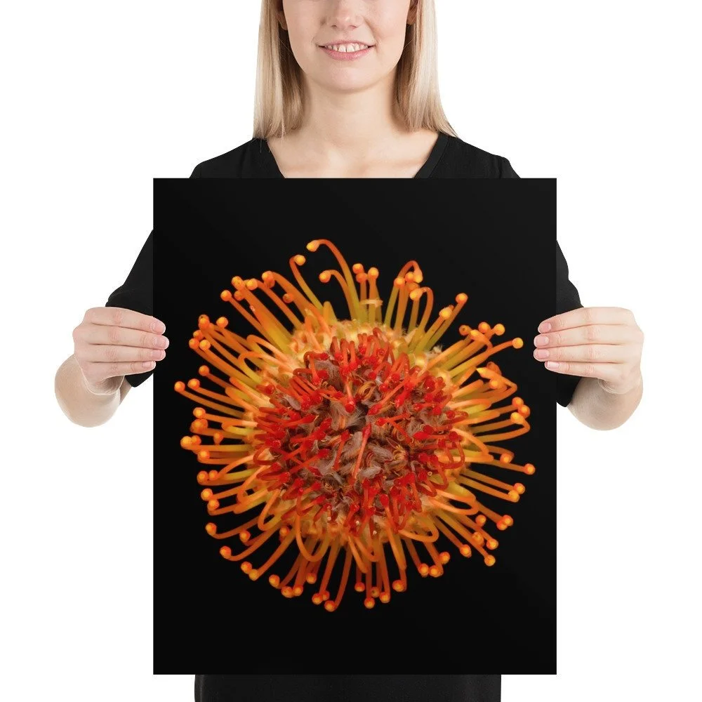 https://i.etsystatic.com/16519884/r/il/408e2b/1895591824/il_fullxfull.1895591824_bv37.jpg