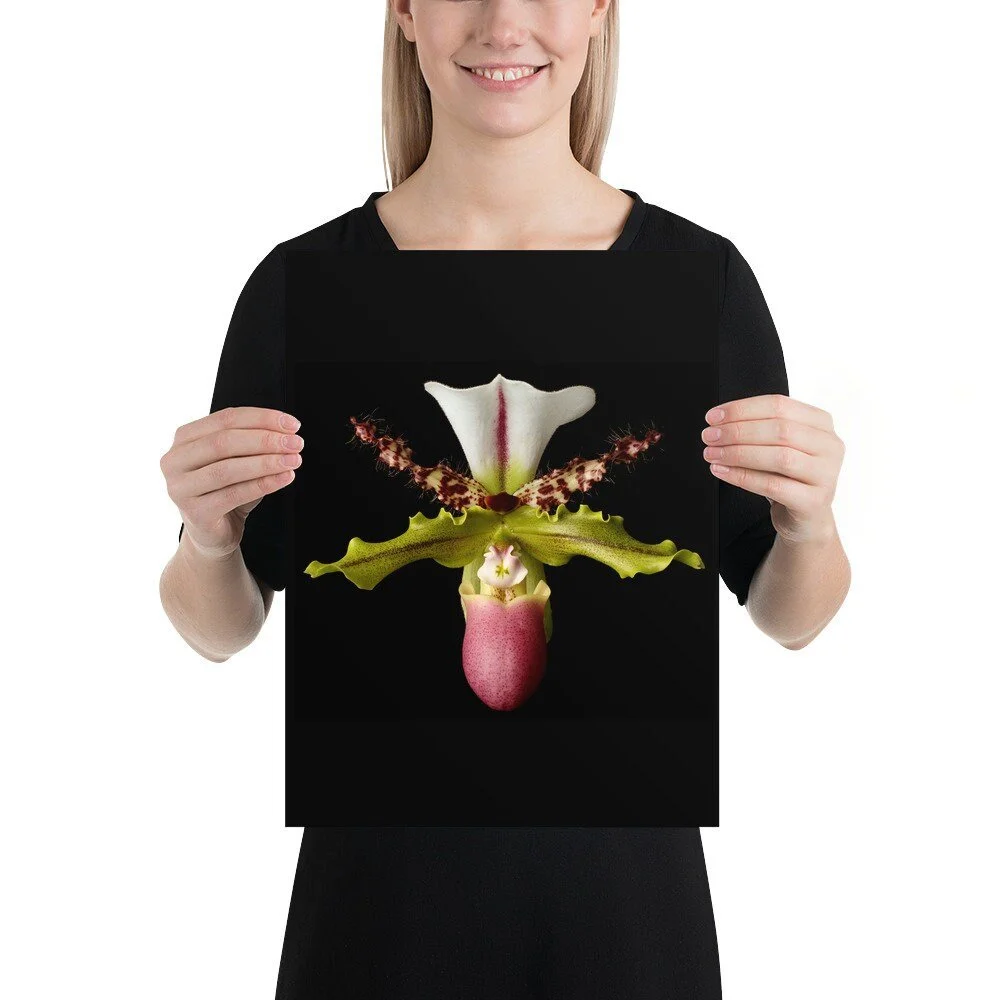 https://i.etsystatic.com/16519884/r/il/a59f42/2032454368/il_fullxfull.2032454368_1dhy.jpg