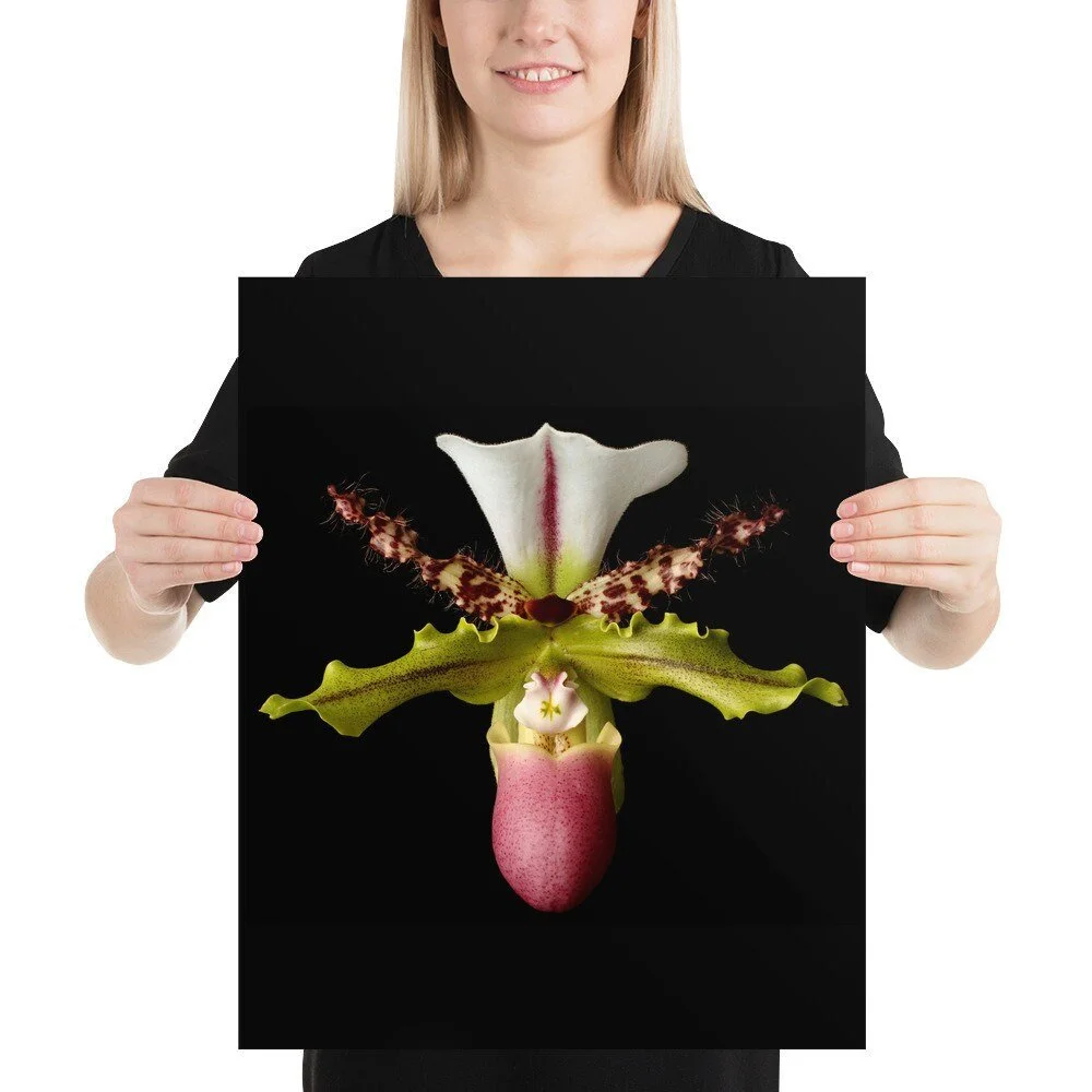 https://i.etsystatic.com/16519884/r/il/92dc5f/2201770561/il_fullxfull.2201770561_qbpd.jpg