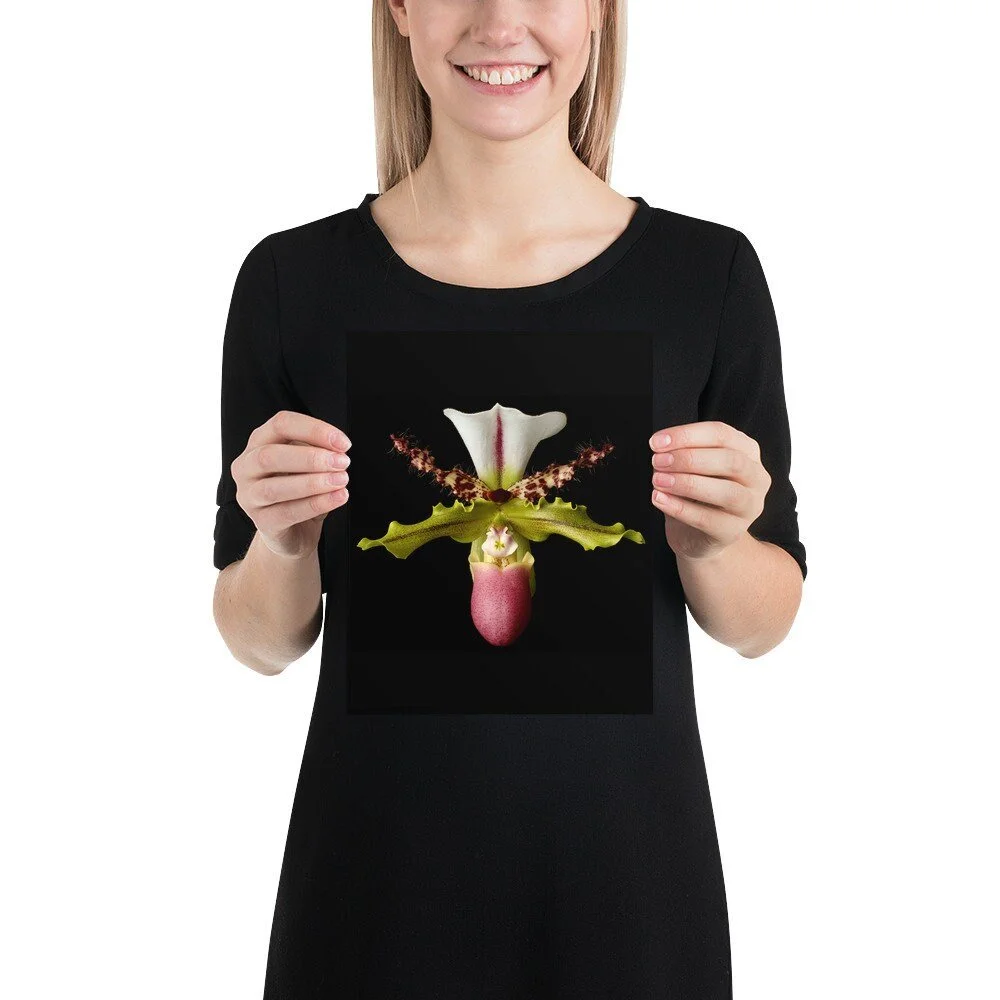 https://i.etsystatic.com/16519884/r/il/1f228f/2080064885/il_fullxfull.2080064885_8z6w.jpg