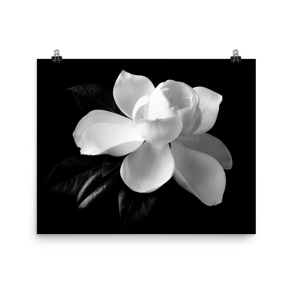 https://i.etsystatic.com/16519884/r/il/848b88/2508611733/il_fullxfull.2508611733_s08o.jpg