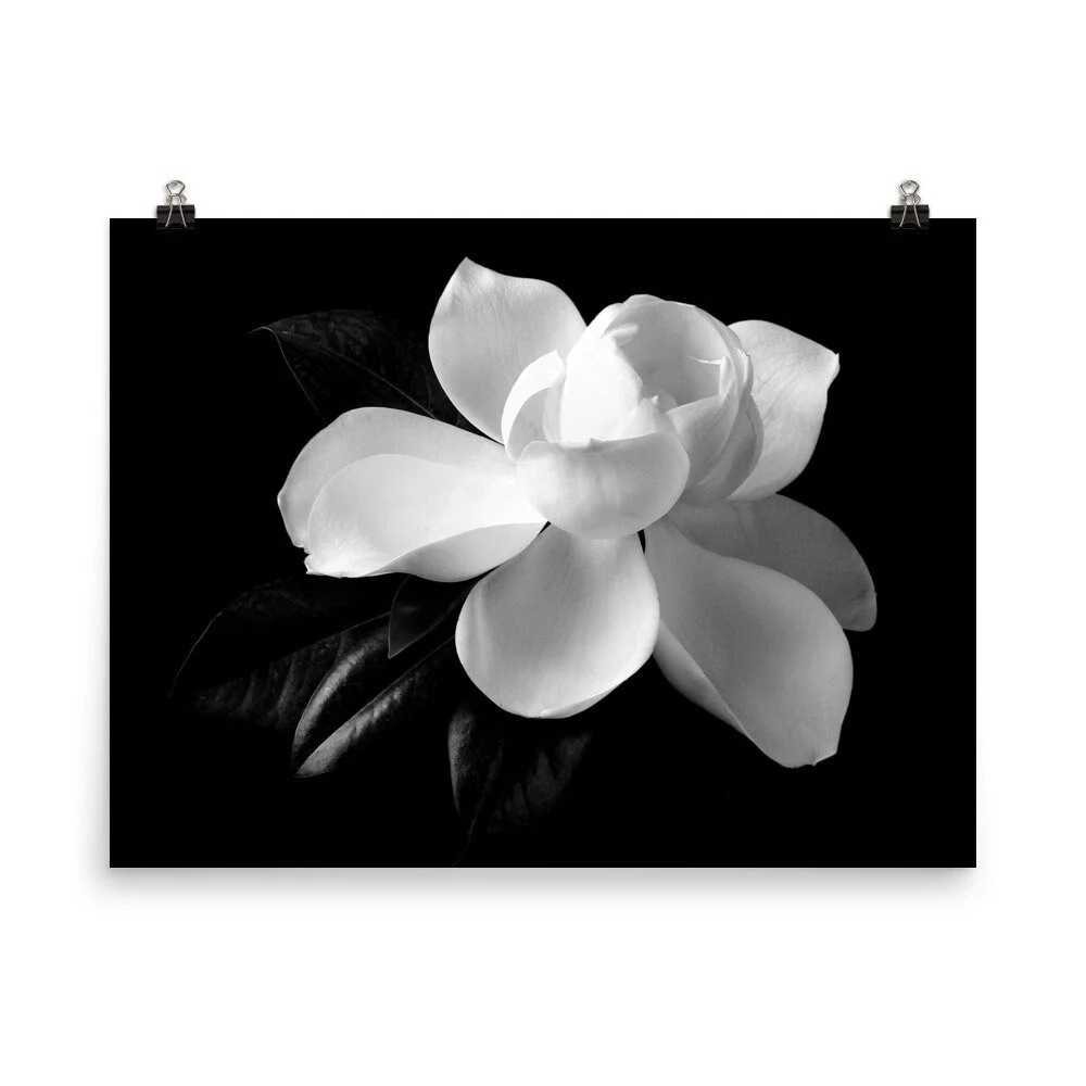 https://i.etsystatic.com/16519884/r/il/6fc1fb/2508610757/il_fullxfull.2508610757_sd74.jpg
