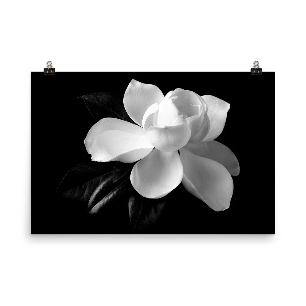https://i.etsystatic.com/16519884/r/il/adf66f/2508610671/il_fullxfull.2508610671_it58.jpg