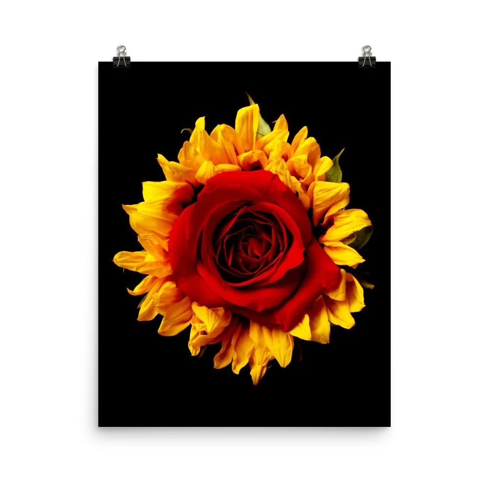 https://i.etsystatic.com/16519884/r/il/43bc55/2262708183/il_fullxfull.2262708183_qu9q.jpg